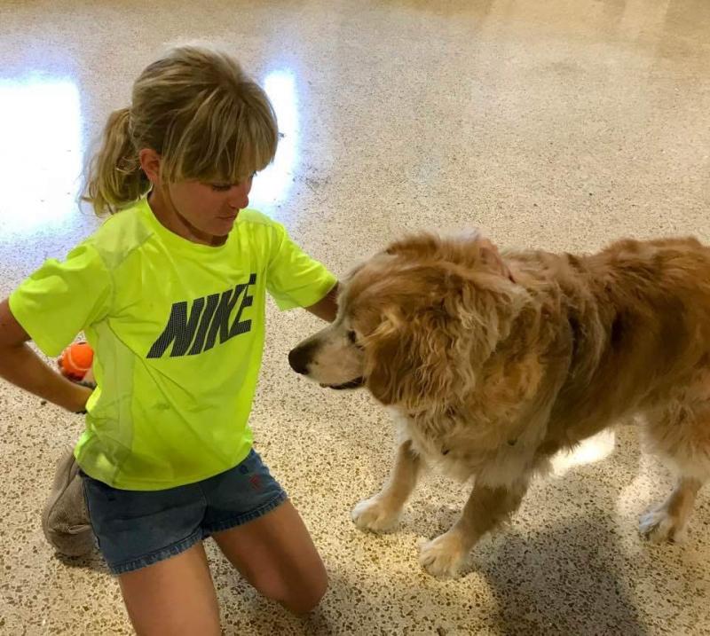 Since Irma, The Hammock House provides therapy dogs once a week to help children regain their emotional equilibrium.